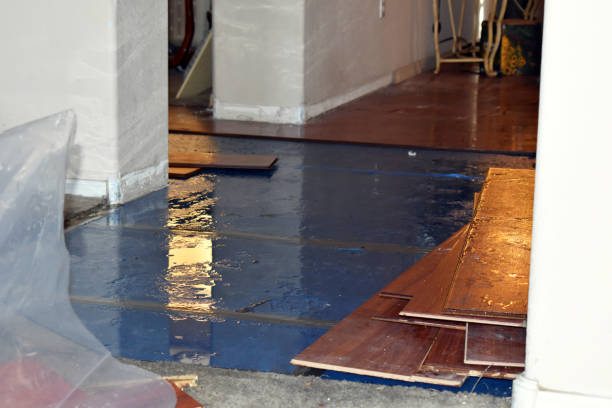 Professional Water Damage Restoration technician working in Sharpsville, PA